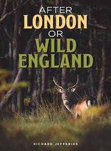 After London or Wild England